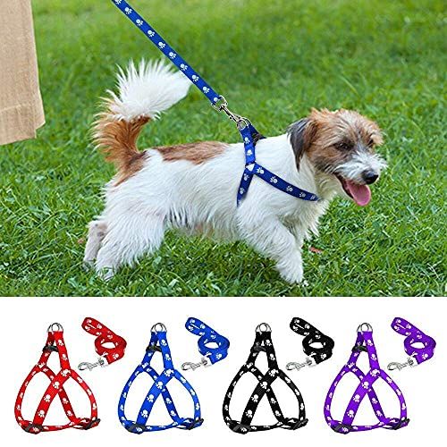 Printed 1Cm Adjustable Dog Belt For Small Medium Pet Daraz .np