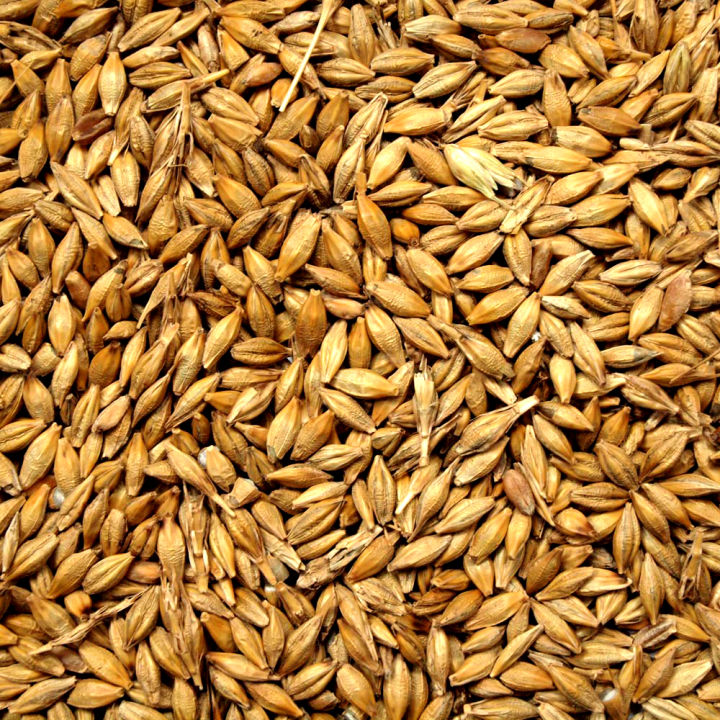 Barley%20Whole%20Grain%201%20Kg%20-%20Image%204