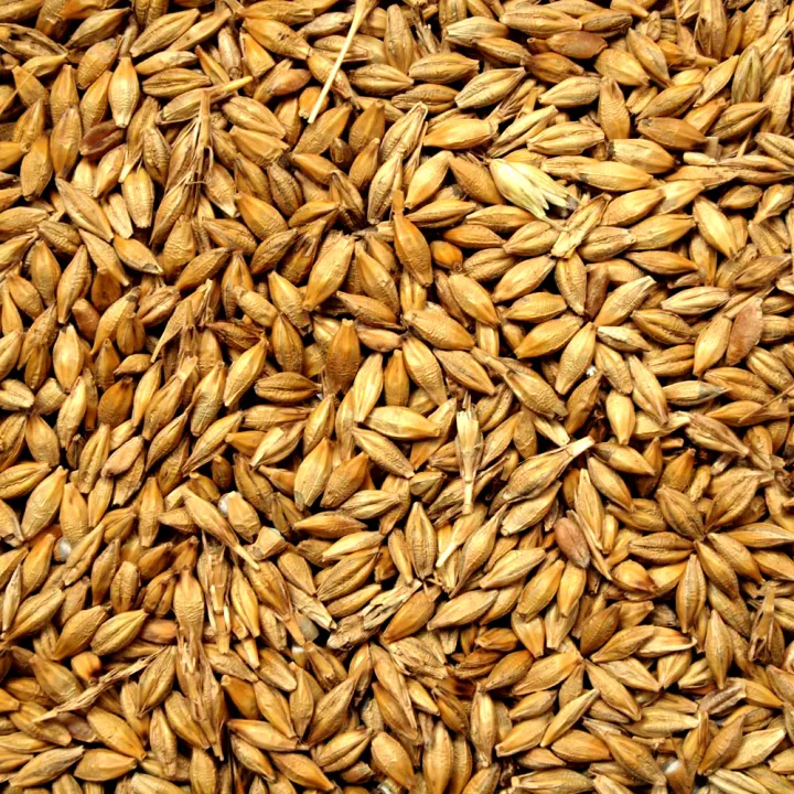 Barley%20Whole%20Grain%201%20Kg%20-%20Image%204