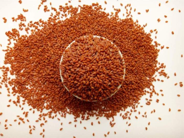 Chamsur%20Seed%20%20Garden%20Cress%20Seed%20%20Chamsoor%20Ko%20Biya%20%20Beej%20500%20Gm%20-%20Image%202