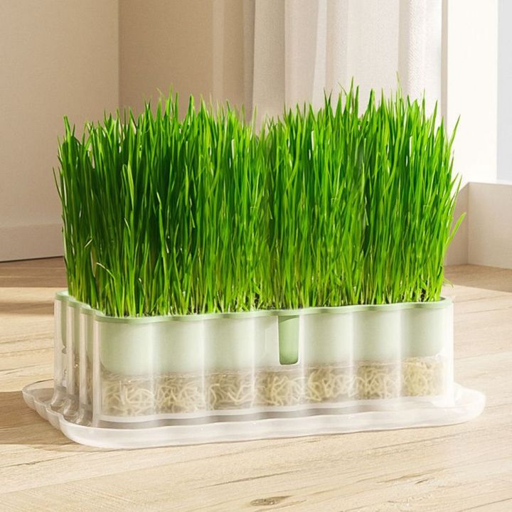 High Quality Soilless Cultivation Sprouts Growing Tray Sprout Planting ...