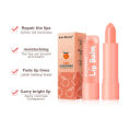 Peach Lip Balm – Natural Moisturizing Lip Care Multipack | Hydrating & Nourishing Organic Lip Moisturiser with Fruity Scent | Soothes Dry, Chapped Lips | 3.5g (Peach). 
