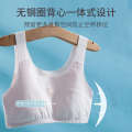 Underwear for Girls, Junior High School Students, Developmental Period, Free-Cut Padded Style, Tank Top Underwear, Teenage Girls Bra 8100. 