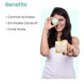 Earth Rhythm Anti Dandruff Shampoo Bar With Arnica Extracts For Itchy & Flaky Scalp (Tin Box)  Sulfate & Paraben Free - 80 Gm. 