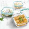 Set Of 3 Borosilicate Glass Food Storage Square Container With Airtight Lid (370 ML, 620 ML And 950 ML). 