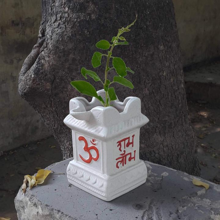 15 cm * 15 cm * 15 cm Ceramic Handcrafted Hand Painted Tulsi  Pot/Vase/Plant Container for Home, Garden, Office Decor (White) | Vastu Tulsi Math