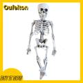 Oufeiton Spooky Human Bone Decor Spooky Halloween Skeleton Decoration with Posable Joints for Haunted House Realistic Plastic for Indoor/outdoor. 