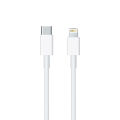 USB-c to lightning cable (1 M). 