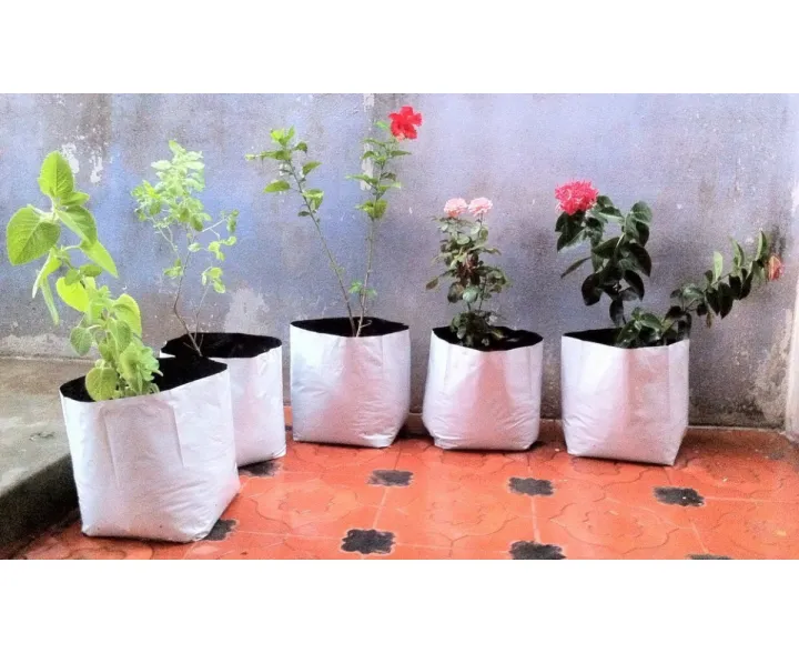 Grow%20Bags%20Medium%20Size%2020x20x35%20cm%20(8x14%20Inch),%20Pack%20of%20%2010%20Pcs%20-%20Image%205