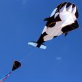 Huge Frameless 3D oft Wing Giant Whale Kite. 