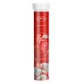 Penasfe Plant Fertilizer 22pcs Plant Nutrition for Healthy Growth Slow-release Balanced Nutrient Elements for Fruits for Nutrient-balanced. 