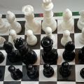 Chess Goti Plastic. 
