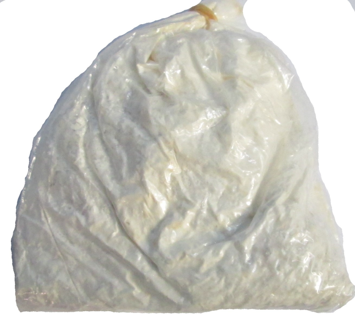 Oyster%20mushroom%20seeds%205%20kg%20-%20Image%202