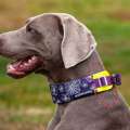 Dog Collar Adjustable Nylon Necklace Accessories Personalized Small Medium Large High Quality Padded Dogs Leads Pet Products. 