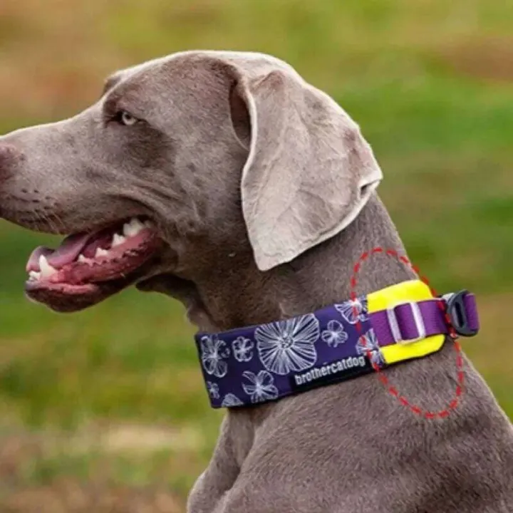 Dog%20Collar%20Adjustable%20Nylon%20Necklace%20Accessories%20Personalized%20Small%20Medium%20Large%20High%20Quality%20Padded%20Dogs%20Leads%20Pet%20Products%20-%20Image%204