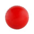 ActiveU Rubber Synthetic Cricket Ball i10 Cricket Synthetic Ball, Best Practice Poly Hard Balls - Indoor & Outdoor Training (PACK OF 1). 