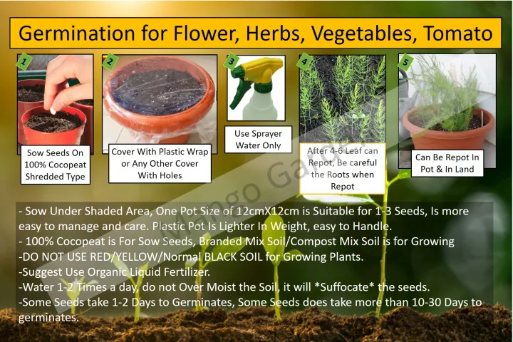 Benih%20Super%20Cili%20Habanero%20-%2020%20biji%20-%20Image%204