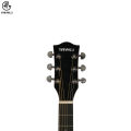 Manaslu MG5 Semi - Acoustic Guitar With Package | Semi Acoustic Guitar For Beginners | Glossy Body Acoustic Guitar. 