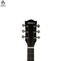 Manaslu MG5 Semi - Acoustic Guitar With Package | Semi Acoustic Guitar For Beginners | Glossy Body Acoustic Guitar. 