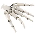 1 Set White Plastic Halloween Articulated Finger Realistic Skeleton Hands Finger Glove. 