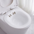 Toilet Seat Bidet Sitz Bath Tub Postpartum Care Disabled Basin Perineal Soaking No Squatting GTWEN. 