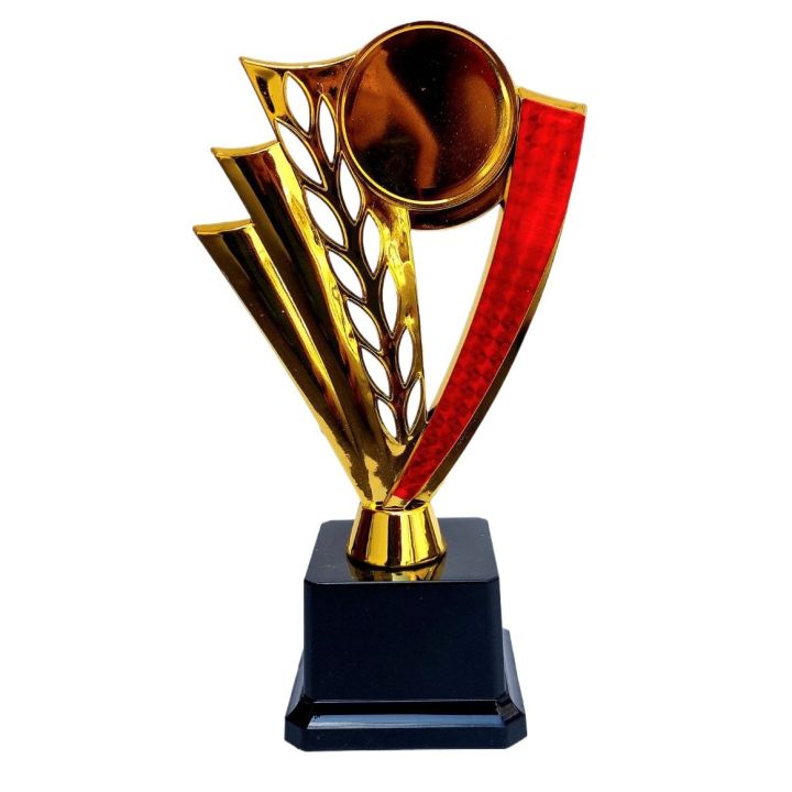 22cm Gold Cup Winner Trophy  for Awards, Party Celebrations Ceremony Appreciation Gift Sport Academy AS