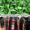 Ranggense Australian Mancao Shampoo Usma Hair Oil Prevents Hair Loss Nourishes Improves Sparse Hair Relieves Itching and Controls Oil. 