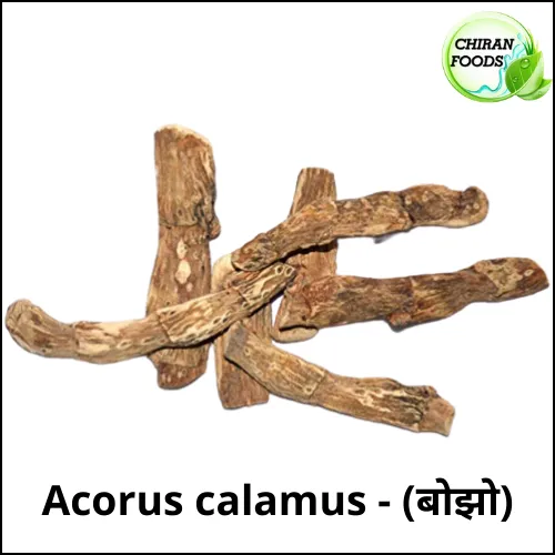 Bojo%2050Gm%20(%20Sweet%20Flag%20)%20-%20Image%203