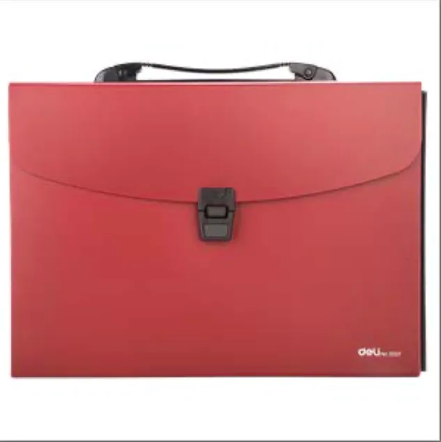 Deli%20A4%2013%20Pocket%20Expanding%20File%20Folder,%20Assorted%20E5557%20-%20Image%202