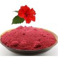 Hibiscus (Ghanti) Flower Powder 100Gm. 