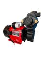 Mantex Maxi 1 HP Water Pump. 