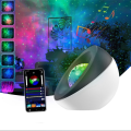 Convenient Starry Projector Night Light Galaxy Projector, Gray. 