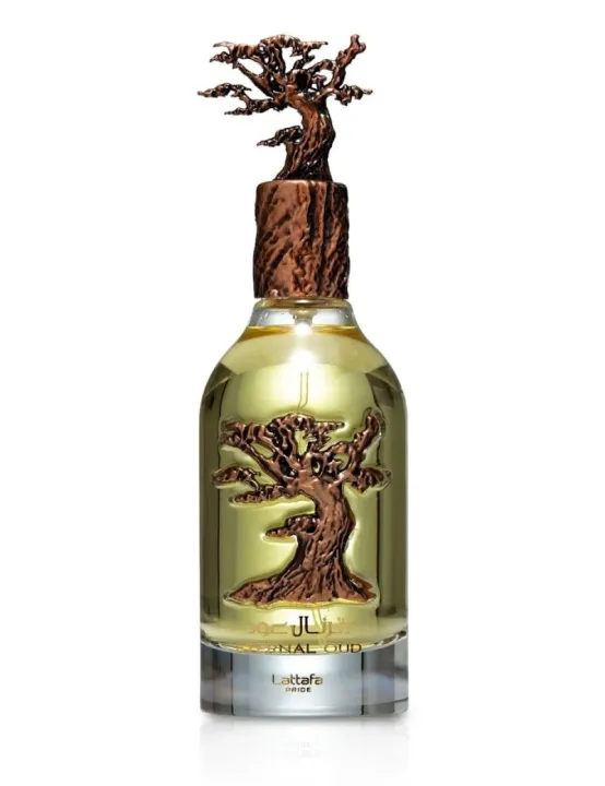 Lattafa%20Eternal%20Oud%20Eau%20De%20Parfum%20For%20Unisex%20Imported%20From%20Uae100ml%20-%20Image%202