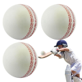 Sports cricket, training cricket, White. 