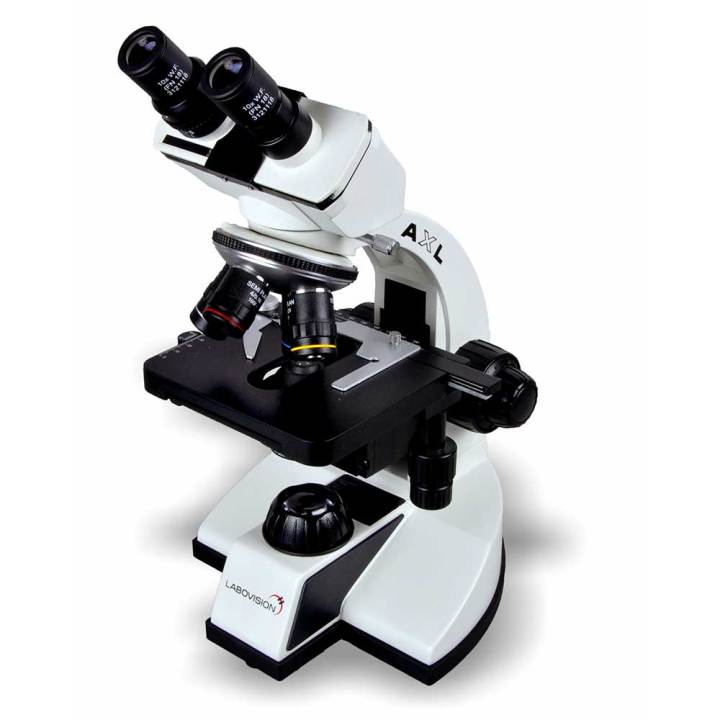 Binocular Microscopes