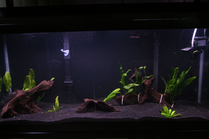 Pure%20Black%20Sand%20For%20Aquarium%20Fish%20Tank-1KG%20Juwel%20Aquarium%20-%20Image%202