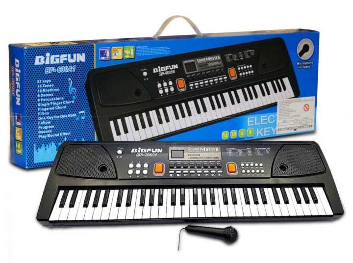 61 Keys Bigfun Electronic Piano Keyboard with Mic – BF-630A1