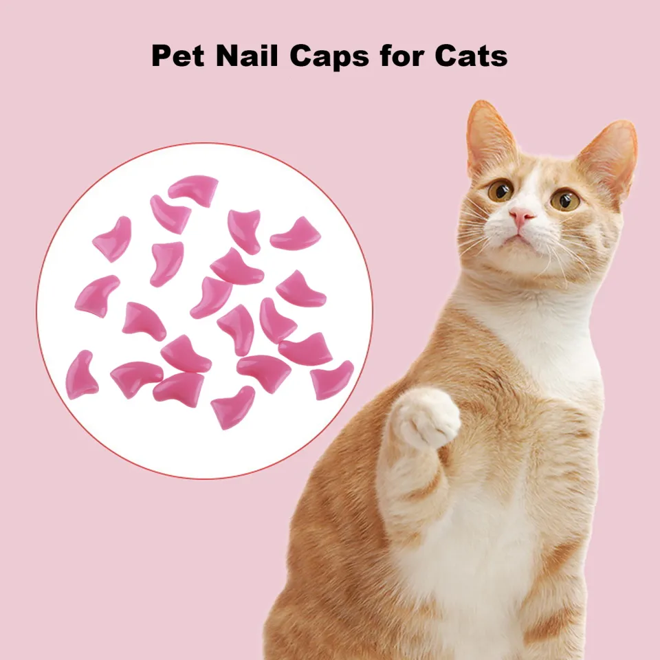 Amazon Cat Claw Caps Near Me Cat Claw Covers 200 Pcs Cat Claw Caps