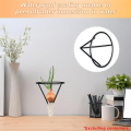 4 Pieces Avocado Seed Growing Metal Stand. 