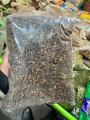 Laung (Cloves) - 1kg. 