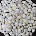 1 Kg White Stone Pebbles For Aquarium And Garden Decoration Natural White Polished Stones - Decorative Stones |. 
