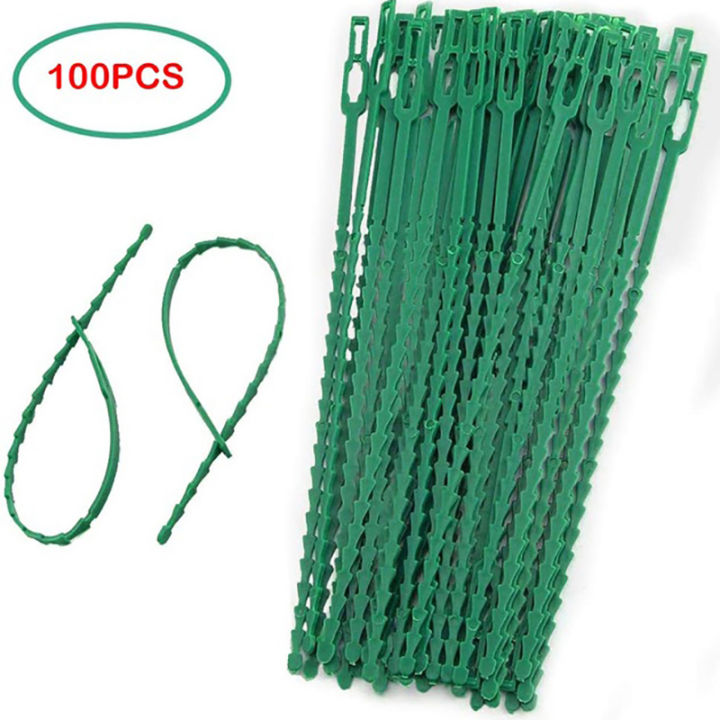 50/100pcs%20Reusable%20Plastic%20Plant%20Support%20Clips%20clamps%20Plants%20Hanging%20Vine%20Garden%0D%0A%20ZHANGBEI%20-%20Image%208