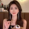 【Mega Sale】East Chrysanthemum Yinchuan Waterfall Tassel Earrings Women's 2023 New Fashion Earrings. 