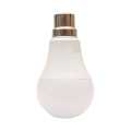 Wega Led Bulb 5 Watt. 