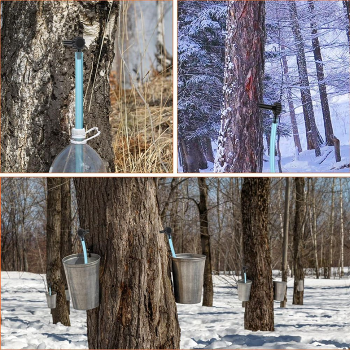 Maple%20Syrup%20Tapping%20Kit%20Maple%20Tap%20and%20Food%20Grade%20Dropper%20Extractor%20-%20Image%203
