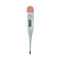Digital Thermometer Chinese. 