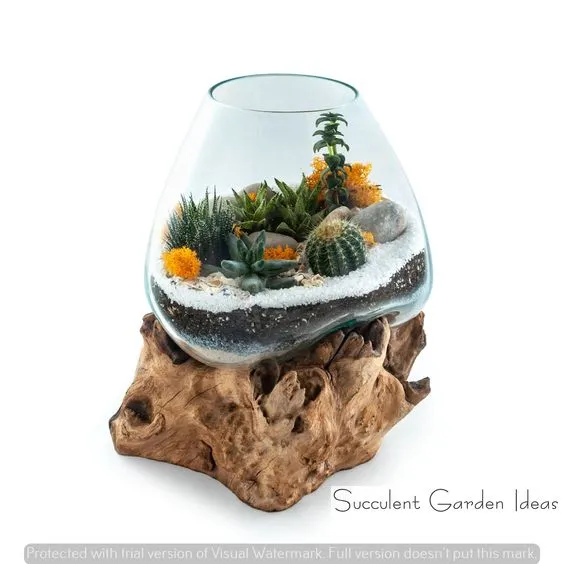 Hand-Blown%20Molten%20Glass%20%20Round%20Bowl%20Vase%20On%20Natural%20Wood%20Root%208cm%20-%20Image%204