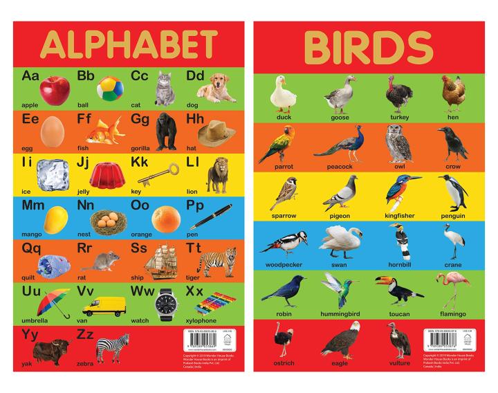 Early%20Learning%20Educational%2010%20Charts%20Boxset%20for%20Kids%20:%20Perfect%20for%20Homeschooling,%20Kindergarten%20and%20Nursery%20Students%20-%20Image%206