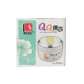 QQ 2 Layer Insulated Tiffin Lunch Box 1000ML With Spoon. 