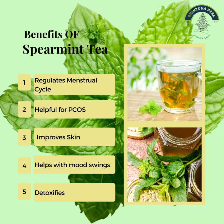 Spearmint%20Tea%20For%20Hormone%20Balance%2020GM%20-%20Image%203